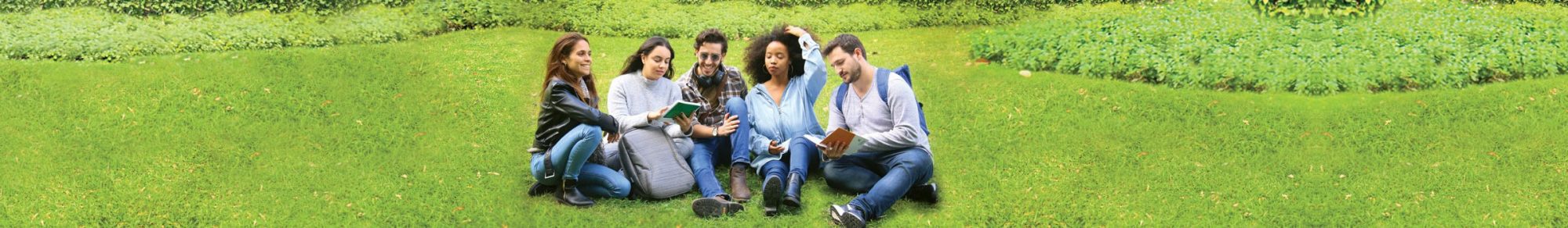 בחירת תחום התמחות במשפטים