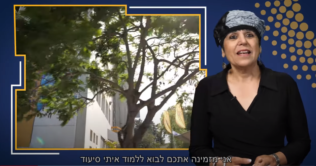 לימודי סיעוד