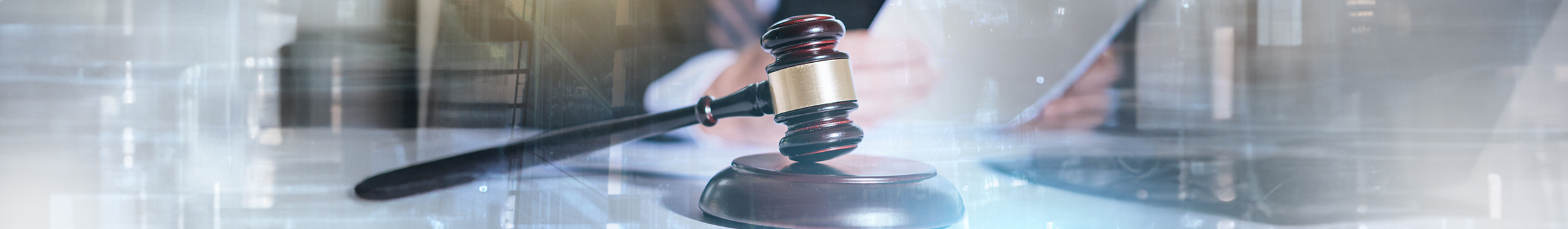 מכללות למשפטים